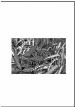 PENTAX PHOTO LABORATORY 2.1 - Imprimer - 2