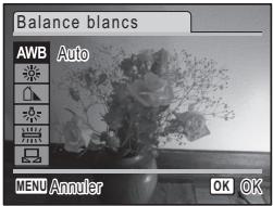 PENTAX OPTIO E30 - Réglage de la balance des blancs - 1