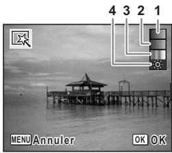 PENTAX OPTIO E70 - Utilisation des filtres numériques - 2