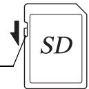 SD