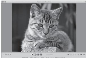 PENTAX OPTIO I-10 - Visualisation d'images - 1