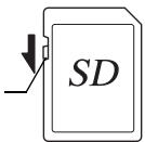 SD