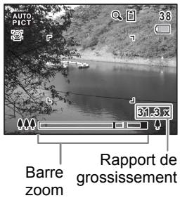 AUTO PICT 38 31-3x Barre zoom Rapport de grossissement