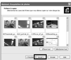 Assistant d'acquisition de photos fichers à copier Sélectionles les cases des fichers que vous déminu copier sur votre casqu dur. 0673-annoude_gp...0613_pontal_gp...1495-ice_pf_gp...Hillisowetting_gp... Effort out Selectioner tout < Pétérature Sample Annuler Ride