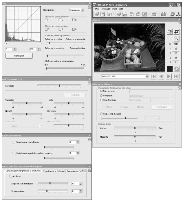 PENTAX PHOTO BROWSER - Sélectionnez [Traitement personnalisé] dans le menu [Affichage] ou cliquez sur le bouton de l'icône de la barre d'outils, puis sur (Traitement personnalisé) dans la liste déroulante. - 1