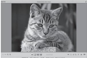 PENTAX OPTIO W90 - Visualisation d'images - 1
