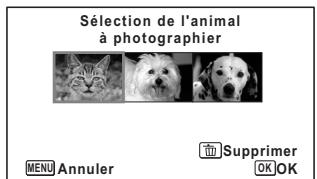PENTAX OPTIO W90 - Sélection de l'animal que vous souhaitez photographier - 1