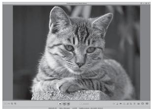PENTAX OPTIO W90 - Visualisateur de photos - 1