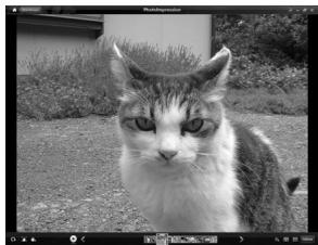 PENTAX OPTIO WG-2 GPS - Visualisation d'images - 3