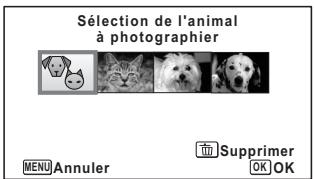 PENTAX OPTIO WG-2 GPS - Appuyez sur le bouton de l'écran d'état de l'enregistrement en mode (Animaux domestiques - 1