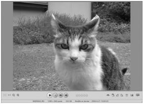 PENTAX OPTIO WG-2 GPS - Visualisation d'images - 1