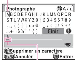 PENTAX 645D - Informations copyright - 2