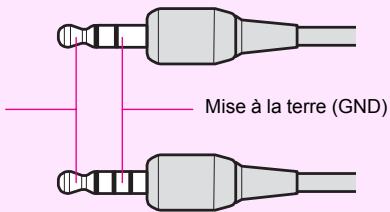 PENTAX 645D - À propos du cable video - 1