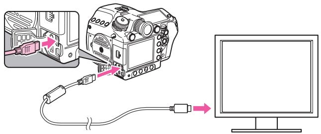 PENTAX 645D - À propos du cable video - 2