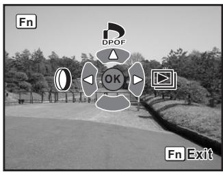 PENTAX K100D SUPER - Impression d'images uniques - 1