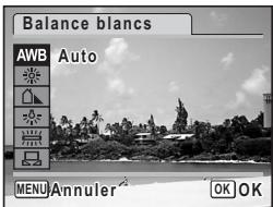 PENTAX OPTIO W30 - Réglage de la balance des blancs - 1