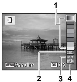 PENTAX OPTIO W30 - Utilisation des filtres numériques - 1