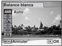 PENTAX OPTIO W60 - Réglage de la balance des blancs - 2