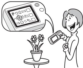 PENTAX OPTIO WP - Fonctions de capture et de lecture faciles d'accès ! - 1