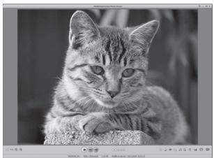 PENTAX W90 - Visualisateur de photos - 1