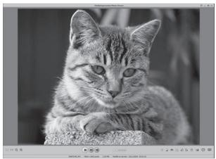 PENTAX W90 - Visualisation d'images - 3