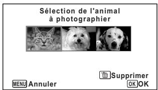 PENTAX W90 - Appuyez sur le bouton de l'écran d'état de l'enregistrement en mode (Animaux Domestiques) - 1