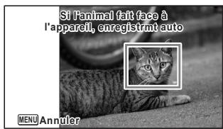 Si l'animal fait face à l'appareil, enregistrémt auto MENU Annuler