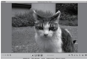 PENTAX WG10 - Visualisation d'images - 1