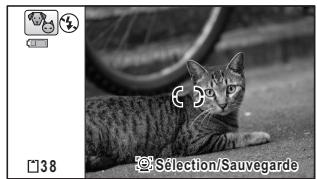 PENTAX WG10 - Photographier votre animal domestique (Mode animal domestique) - 2