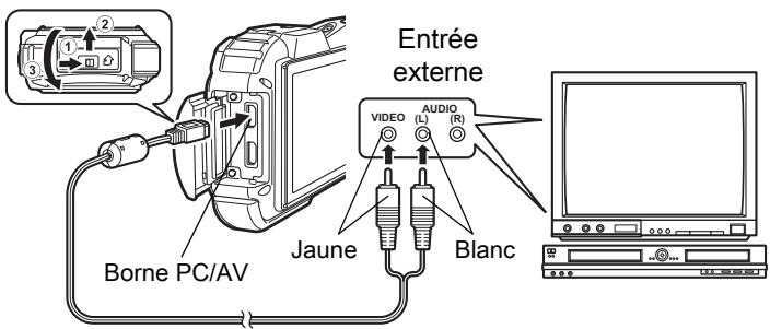 Entrée externe Borne PC/AV Jaune AUDIO L(R) Blanc
