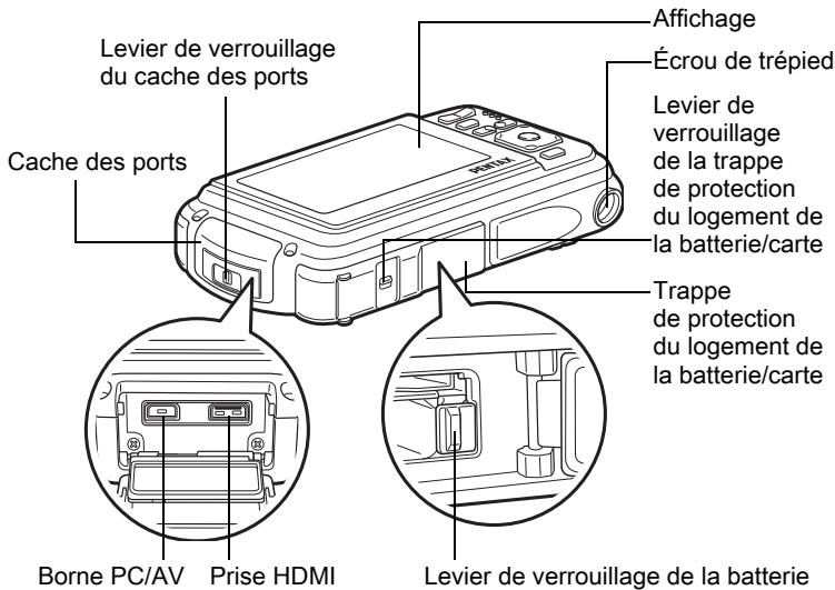 Levier de verrouillage du cache des ports Cache des ports Affichage Écrou de trépied Levier de verrouillage de la trappe de protection du logement de la batterie/carte Trappe de protection du logement de la batterie/carte Borne PC/AV Prise HDMI Levier de verrouillage de la batterie