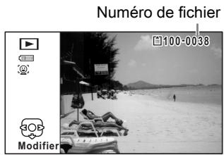 Numéro de fichier 100-0038 BOB Modifier
