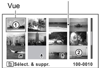 Vue ① ② Select. & suppr. 100-0010