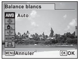 Balance blancs AWB Auto MENU Annuler OK OK