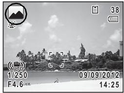 PENTAX X5 - Pressez le déclencheur à mi-course. - 1
