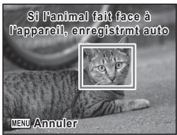 Si l'animal fait face à l'appareil, enregistrant auto MENU Annuler