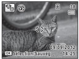 PENTAX X5 - Prise de vue de votre animal domestique (mode animaux domestiques) - 1