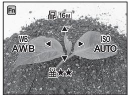 Fn WB AW B ISO AUTO 16M ★