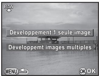 PENTAX K-01 - Développement d'une image RAW - 1