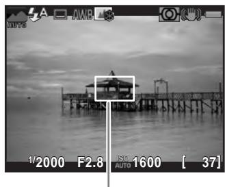 PENTAX K500 - Positionnez le sujet à l'intérieur de la mire AF sur l'écran et pressez le déclencheur à mi-course. - 1