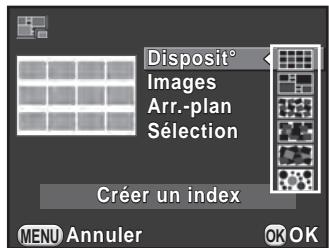 PENTAX K500 - Assemblage de plusieurs images (Index) - 1