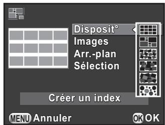 PENTAX K30 - Assemblage de plusieurs images (Index) - 1