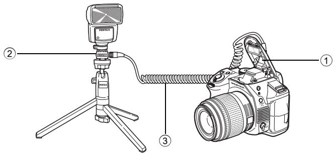 PENTAX K30 - Raccordement d'un flash externe avec une rallonge - 1