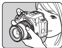 PENTAX K70 - Prise de vue avec le viseur - 5