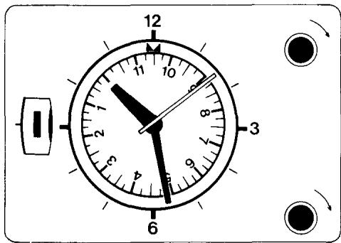 ROSIERES F 233 - LEURS UTILISATIONS - 14