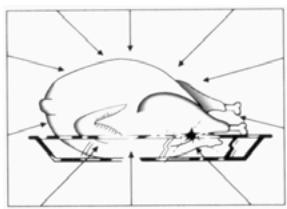 ROSIERES RDCG40 - Microwaves are reflected by metal... - 3