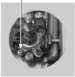 ROSIERES TCS 40 IN - Vite del by-pass del bruciatore - 2