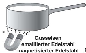 SCHOLTES TI 6533 - Geeignetes Kochgeschirr - 1