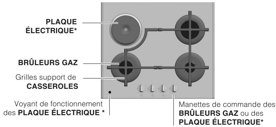SCHOLTES TV 631 GH - Remplacement des injecteurs du brûleur Mini DUAL - 6