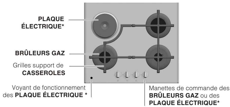 SCHOLTES TV 751 GH - Remplacement des injecteurs du brûleur Mini DUAL - 5